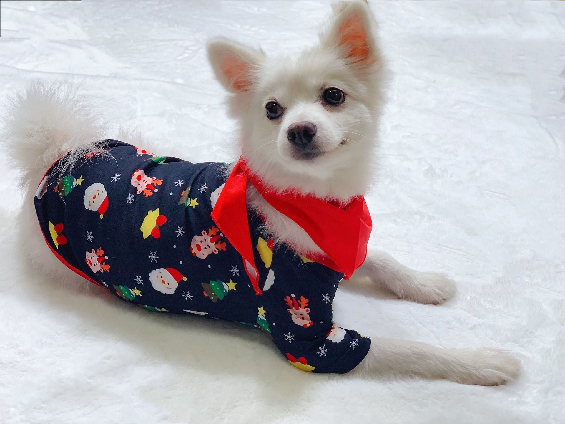 Family Christmas Matching Pajama Sets (Sleepwear)